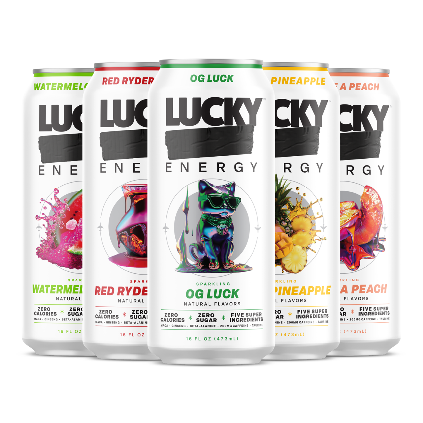 Essentials Variety Pack (10 Pack, 16 oz)